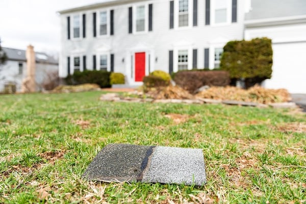 Roof shingle on ground in front yard