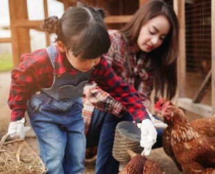 hispanic mother and child feeding chickens in chicken house-1