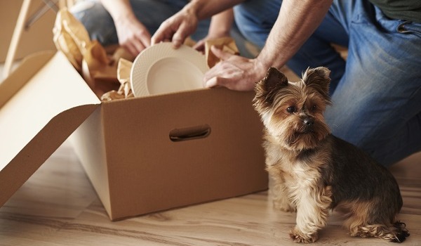 Tips, Tricks, and Reminders for a Smooth Move in Virginia