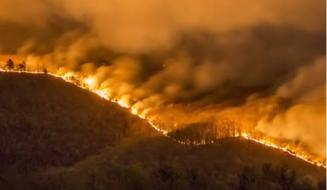 Does Homeowners Insurance Cover Wildfire Damage?
