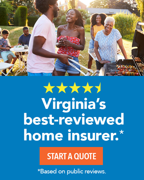 Virginia's best-reviewed home insurer.